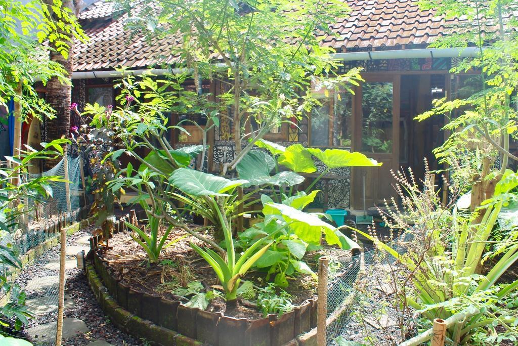 Farmer'S Yard Hostel Canggu  Exterior photo